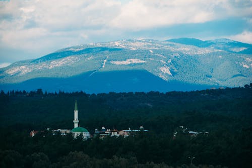 Mosque surrounded by forest, mountains in background.